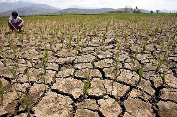 DA: Bohol, 65 other areas likely to be hit by El Niño